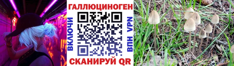 Галлюциногенные грибы Cubensis  Лесозаводск 
